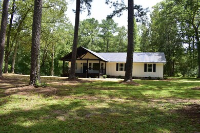 1116 Lee Road 334, Salem, AL 36874 - photo 2