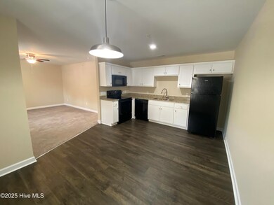 1150 Cross Creek Cir unit 11, Greenville, NC 27834 - photo 4
