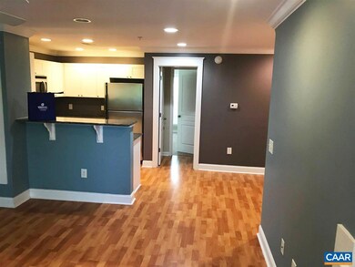1625 Elmwood Ct unit 203, Charlottesville, VA 22903 - photo 5