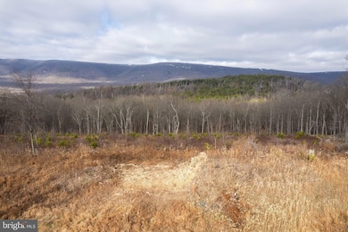 0 Back Mountain Road Lot 11, Winchester, VA 22602 - photo 6