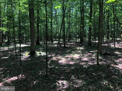 27 Walnut Bottom Hideaway, Moorefield, WV 26836 - photo 3