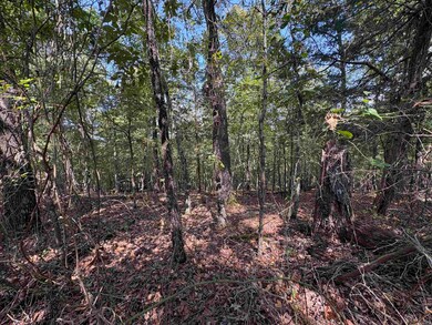 0 Hwy 5 unit 25037413, El Paso, AR 72045 - photo 6