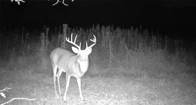 0 Emerick Rd, Franklin Township, OH 44427 - photo 4