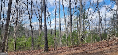 0 Meadowlands Dr unit 10535692, Talking Rock, GA 30175 - photo 6