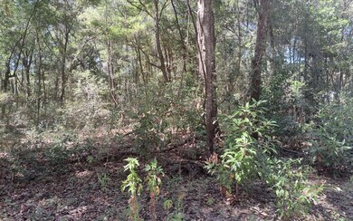 TBD 39th Ln, Branford, FL 32008 - photo 4