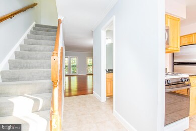 3838 Chesterwood Dr, Silver Spring, MD 20906 - photo 3