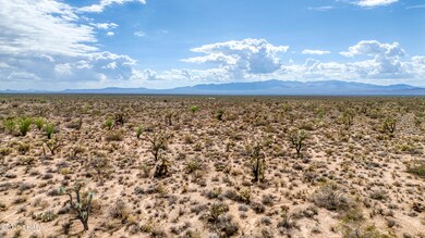 10-print-3607 Kit Carson-14