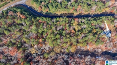 0 Long Point Rd unit 21437458, Double Springs, AL 35553 - photo 5