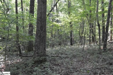 124 Old Flat Shoals Rd, Walhalla, SC 29691 - photo 6