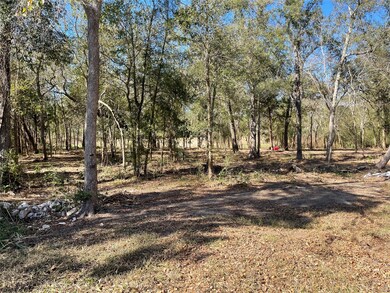 0 Creekview Ct, Friendswood, TX 77546 - photo 6