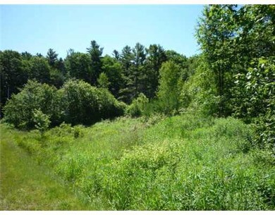 Land/Lot.