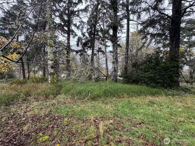 764 Tern Ct SE, Ocean Shores, WA 98569 - photo 6