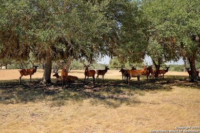 LOT 57 Red Stag Ln, Pipe Creek, TX 78063 - photo 5