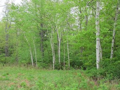 Beautiful woods