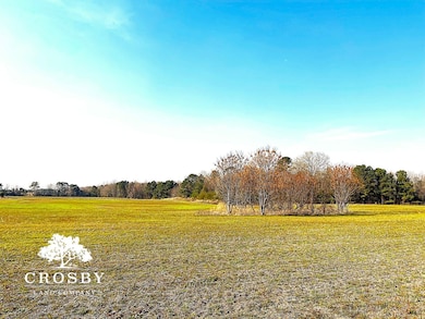 2555 E Brewington Rd, Sumter, SC 29153 - photo 4