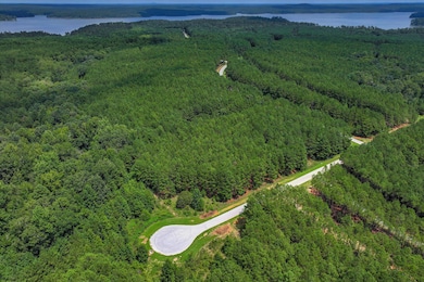 1210 Edge Ln, Tignall, GA 30668 - photo 5