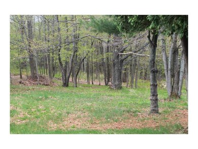Back Yard.