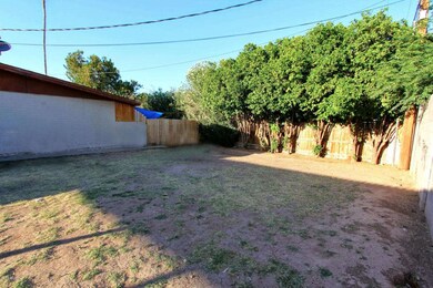 Back Yard area