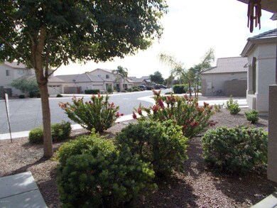 View of front yard from home