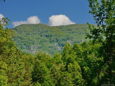 582 Burleson Gap Rd, Burnsville, NC 28714 - photo 4