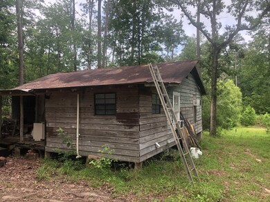 00 Carl Cloud Rd, Climax, GA 39834 - photo 6