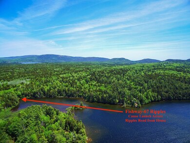 4a.-67 Ripples-Long Pond-4 Aerial
