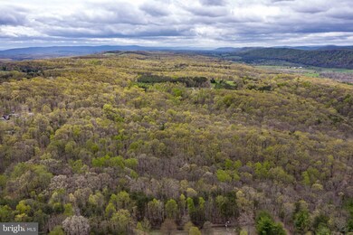 0 0 May Apple Ct, Cross Junction, VA 22625 - photo 5
