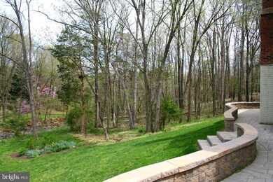 6181 Snowhill Ct, Centreville, VA 20120 - photo 5