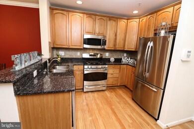 42681 Hollyhock Terrace, Ashburn, VA 20148 - photo 6