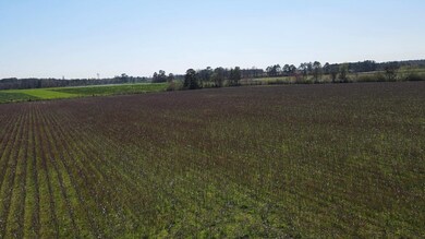 0 Alton Rd, Norman Park, GA 31017 - photo 5