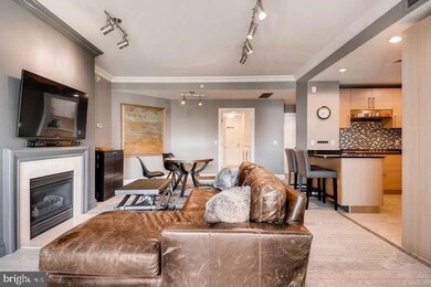 The Ritz-Carlton Residences, Baltimore, MD 21230 - photo 5