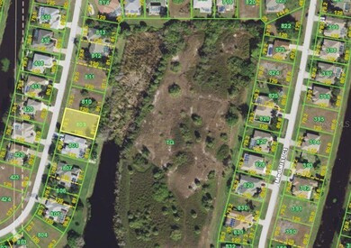 Birds eye view of the preserve and pond.