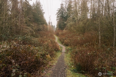 0 Lopez St, Bellingham, WA 98229 - photo 3