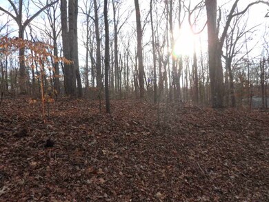 117 Shannon Dr, Pendleton, SC 29670 - photo 2