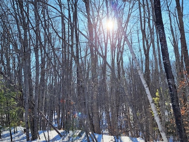 11 Symmes Dr, Newfield, ME 04095 - photo 2