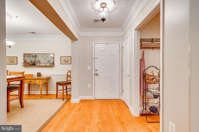 Saintbury Plaza Condominium unit 105, Fairfax, VA 22031 - photo 7