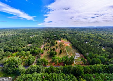 175 ACRES Roosevelt Hwy, Warm Springs, GA 31830 - photo 2