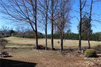 Big back yard -  room for playing or gardening or both!