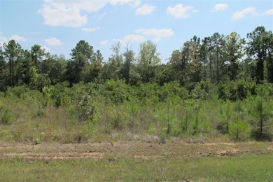 TBD Section Line Rd, Leesville, LA 71446 - photo 2
