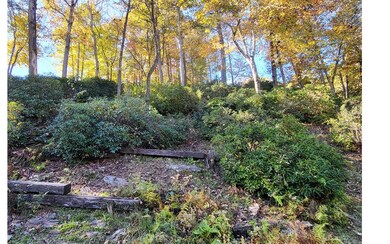 00 Pacer Ct, Ellijay, GA 30540 - photo 3