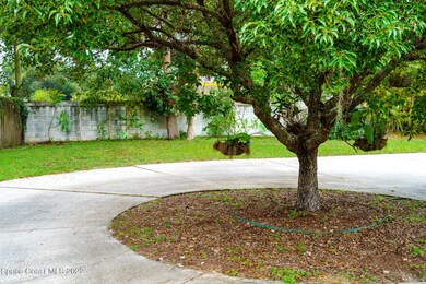 Beautiful Trees
