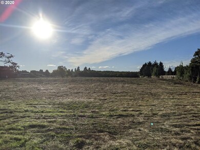 92842 River Rd, Junction City, OR 97448 - photo 5