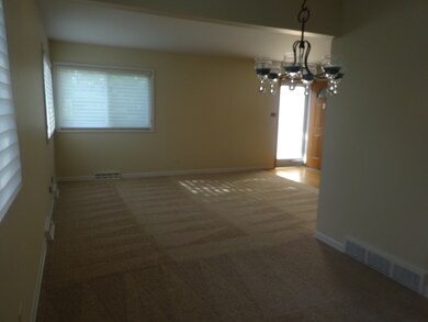 392 W Madison St, Elmhurst, IL 60126 - photo 6