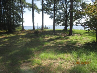 lewis jones duck creek 001