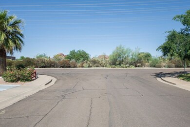 Papago Mountain View