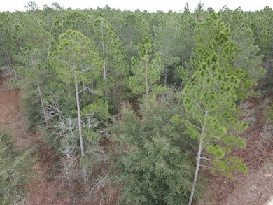 DJI_0793