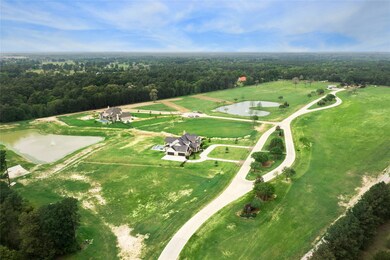 2415 Emerie Arbor Ln, Hockley, TX 77447 - photo 6