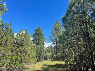2899 Lejo Rd.