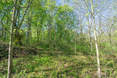 33885 W. Buckingham Rd-02326