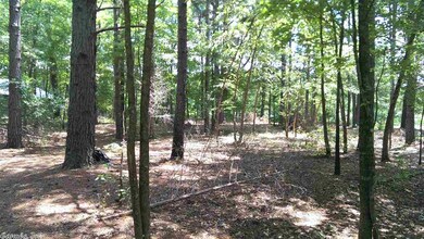 9999 Ferguson Rd, Heber Springs, AR 72543 - photo 5